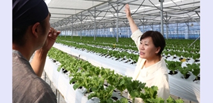酷暑夹击暴雨 韩国异常气候冲击民生经济